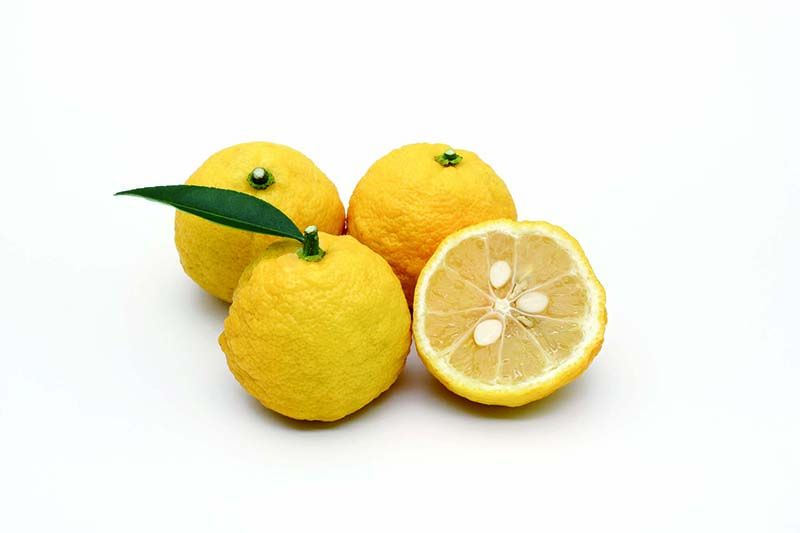 Yuzu Yuzu